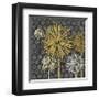 Dandelion on Honeycomb (Yellow)-Susan Clickner-Framed Giclee Print