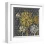 Dandelion on Honeycomb (Yellow)-Susan Clickner-Framed Giclee Print