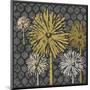 Dandelion on Honeycomb (Yellow)-Susan Clickner-Mounted Giclee Print