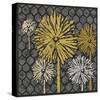 Dandelion on Honeycomb (Yellow)-Susan Clickner-Stretched Canvas