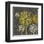 Dandelion on Honeycomb-Susan Clickner-Framed Giclee Print