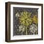 Dandelion on Honeycomb-Susan Clickner-Framed Giclee Print