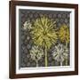 Dandelion on Honeycomb-Susan Clickner-Framed Giclee Print