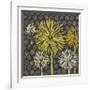 Dandelion on Honeycomb-Susan Clickner-Framed Giclee Print
