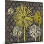 Dandelion on Honeycomb-Susan Clickner-Mounted Giclee Print