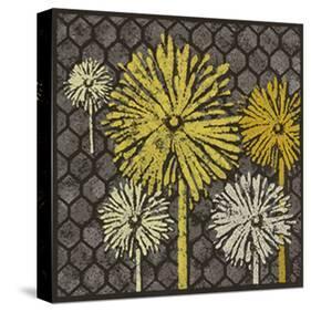 Dandelion on Honeycomb-Susan Clickner-Stretched Canvas