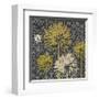 Dandelion on Interwoven Balls (Yellow)-Susan Clickner-Framed Giclee Print