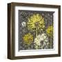 Dandelion on Interwoven Balls-Susan Clickner-Framed Giclee Print