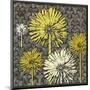 Dandelion on Interwoven Balls-Susan Clickner-Mounted Giclee Print