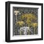 Dandelion on Tumbling Blocks (Yellow)-Susan Clickner-Framed Giclee Print