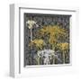 Dandelion on Tumbling Blocks (Yellow)-Susan Clickner-Framed Giclee Print