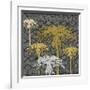 Dandelion on Tumbling Blocks (Yellow)-Susan Clickner-Framed Giclee Print
