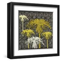 Dandelion on Tumbling Blocks-Susan Clickner-Framed Giclee Print