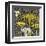 Dandelion on Tumbling Blocks-Susan Clickner-Framed Giclee Print