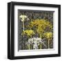 Dandelion on Tumbling Blocks-Susan Clickner-Framed Giclee Print