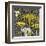 Dandelion on Tumbling Blocks-Susan Clickner-Framed Giclee Print