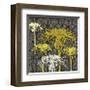 Dandelion on Tumbling Blocks-Susan Clickner-Framed Giclee Print
