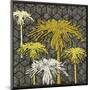 Dandelion on Tumbling Blocks-Susan Clickner-Mounted Giclee Print