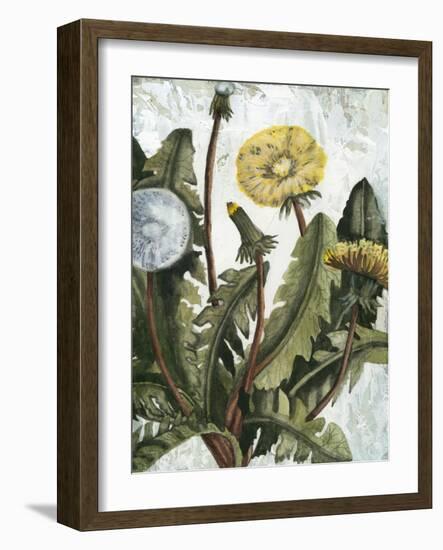 Dandelion Patina I-Naomi McCavitt-Framed Art Print