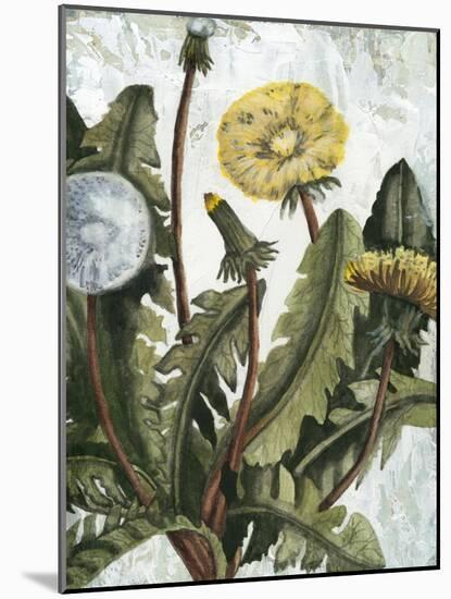 Dandelion Patina I-Naomi McCavitt-Mounted Art Print