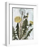 Dandelion Patina II-Naomi McCavitt-Framed Art Print