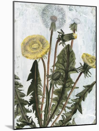 Dandelion Patina II-Naomi McCavitt-Mounted Art Print