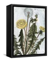 Dandelion Patina II-Naomi McCavitt-Framed Stretched Canvas