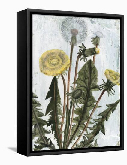 Dandelion Patina II-Naomi McCavitt-Framed Stretched Canvas