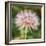 Dandelion Portait-Vincent James-Framed Photographic Print