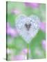 Dandelion Seed Head, UK Garden-null-Stretched Canvas