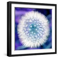 Dandelion Seed Head-Victor De Schwanberg-Framed Premium Photographic Print