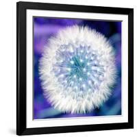 Dandelion Seed Head-Victor De Schwanberg-Framed Photographic Print