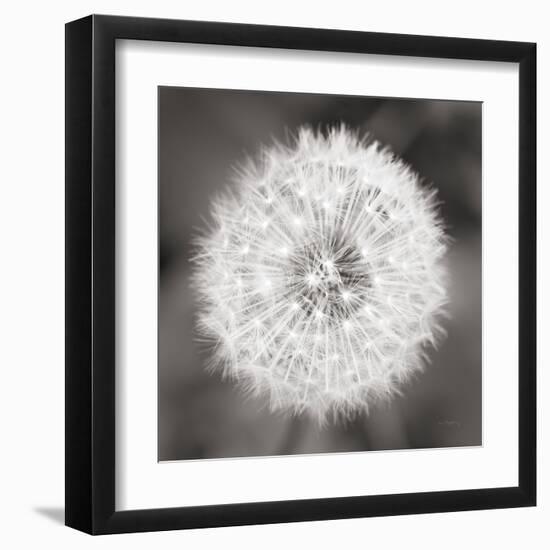 Dandelion Seedhead-Alan Majchrowicz-Framed Art Print
