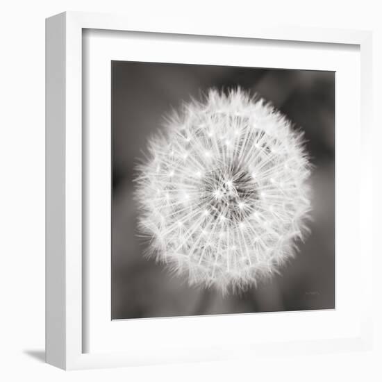 Dandelion Seedhead-Alan Majchrowicz-Framed Art Print