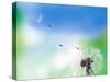 Dandelion Seeds Blowing From Dandelion Seed Head-null-Stretched Canvas