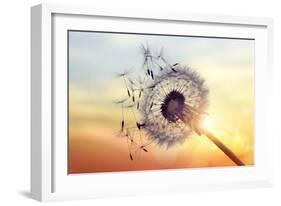 Dandelion Silhouette Against Sunset-Brian Jackson-Framed Photographic Print