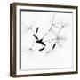 Dandelion Spores on White-Robert Cattan-Framed Photographic Print