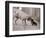 Dandelion the Chinese Shar Pei and Twiglet the Yorkshire Terrier, November 1981-null-Framed Photographic Print