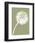 Dandelion Tilt (khaki)-Jenny Kraft-Framed Art Print