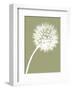 Dandelion Tilt (khaki)-Jenny Kraft-Framed Art Print