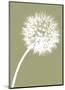 Dandelion Tilt (khaki)-Jenny Kraft-Mounted Art Print