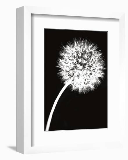 Dandelion Tilt-Jenny Kraft-Framed Art Print