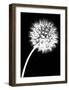 Dandelion Tilt-Jenny Kraft-Framed Art Print