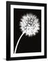 Dandelion Tilt-Jenny Kraft-Framed Art Print