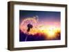 Dandelion to Sunset - Freedom to Wish-Romolo Tavani-Framed Photographic Print