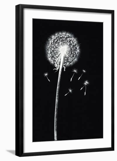 Dandelion Watercolor Painted Image-Surovtseva-Framed Art Print