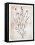 Dandelion2-Lula Bijoux-Framed Stretched Canvas