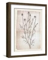 Dandelion2-Lula Bijoux-Framed Art Print