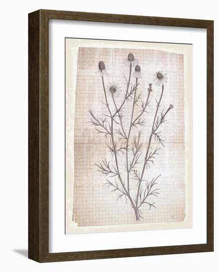 Dandelion2-Lula Bijoux-Framed Art Print