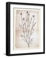 Dandelion2-Lula Bijoux-Framed Art Print